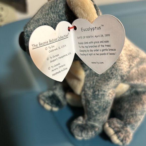 Ty Koala - Picture 2 of 3